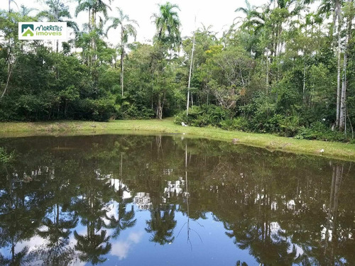 Imagem 23 de 24 de Chácara À Venda No Bairro América De Cima - Morretes/pr - 269