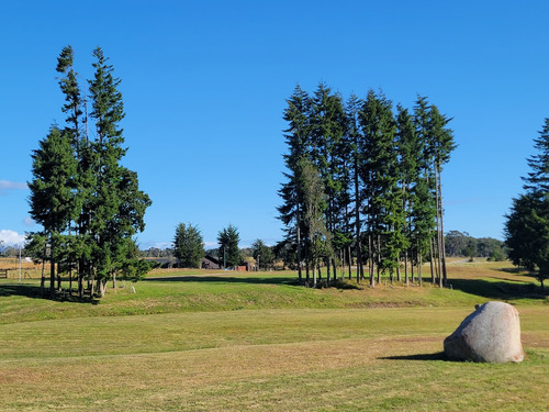 Espectacular Parcela Con Bosque En Condominio Las Tranqueras