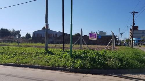 Imagen 6 de 7 de Excelente Terreno Céntrico