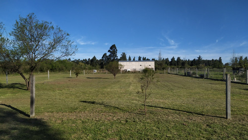 Terreno En Federación (entre Ríos)