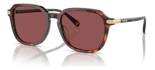 Coach Hc8383u Gafas De Sol De Ajuste Universal, Color Oscuro