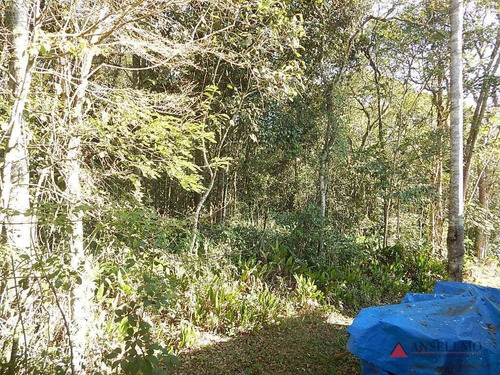 Chácara À Venda, 6000 M² Por R$ 1.500.000,00 - Riacho Grande - São Bernardo Do Campo/sp - Ch0020