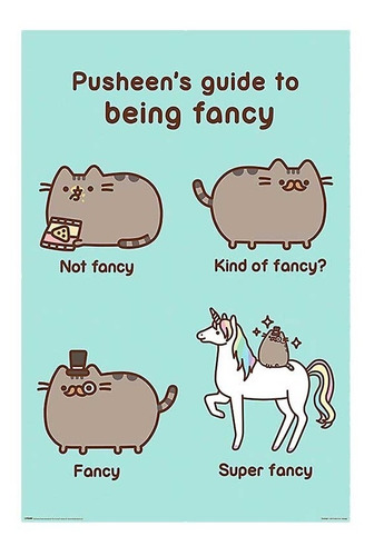 Poster Pusheen - Super Fancy