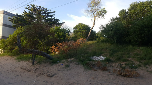 Imagen 4 de 5 de Excelente Ubicación- Lote En Altura- 606mts- Zona Comercial