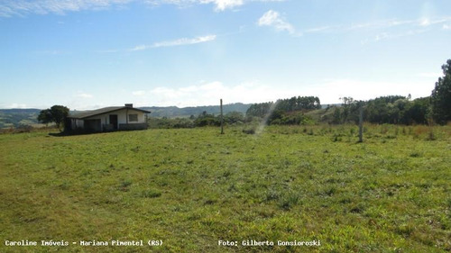 Área Rural Para Venda Em Mariana Pimentel, Boqueirão - 1153_1-779115