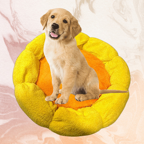 Cama Elevada Para Perro Gatos Camas De Perro Mascotas Xl
