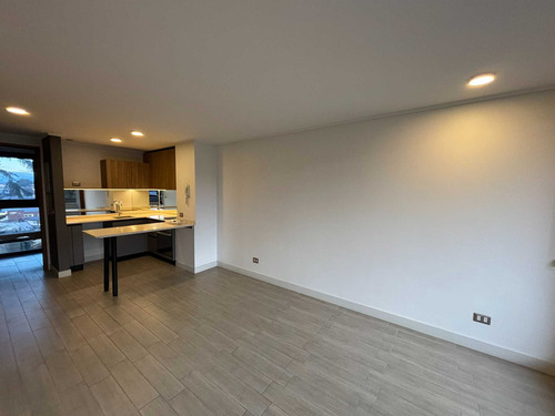 Departamento De 1 Dormitorio En Arriendo (109045)
