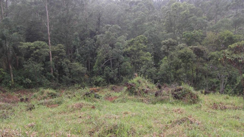 Terreno Em Chácara Recanto Verde, Cotia/sp De 0m² À Venda Por R$ 250.000,00 - Te751436
