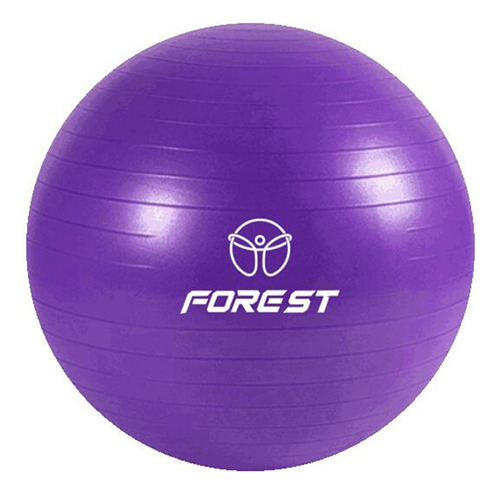 Pelota Yoga Ball Forest Fitness Esferodinamia  85 Cm Gym