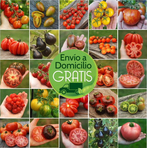 Combo Semillas De Tomates Exoticos Y Reliquia! 20 Variedades