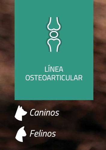 Osteocart Plus X 30 Compriimidos