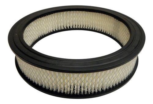 Filtro Aire Dfrs Ford E150 4.9 1975