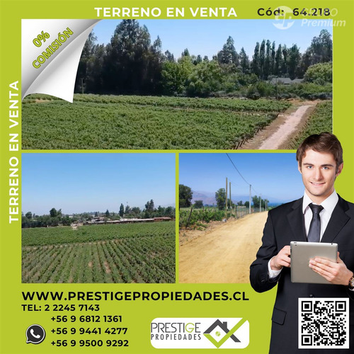 M64218 - Venta Terreno Viñas De Buin Sin Comision - 10 Ha