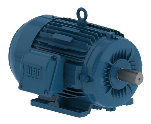 Motor Electrico Weg Trifasico 60 Hp 220/440 V 1800 Rpm