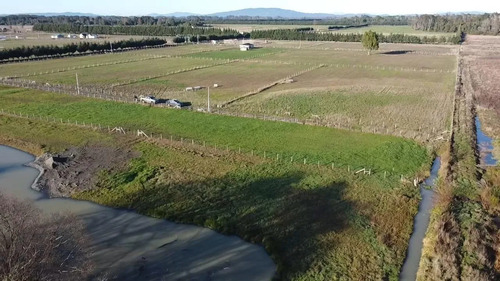 Tu Refugio Soñado En Las Rosas, Freire, Parcela En Venta