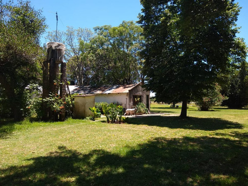 Imagen 4 de 19 de Chacra 4 Hectareas - Los Cardales - Ruta 39