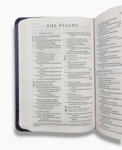 Imagen 6 de 10 de Compact Bible Esv Moonlight Owl Purple Yellow