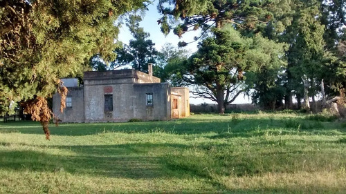 Imagen 5 de 9 de Campo En Gral. Madariaga