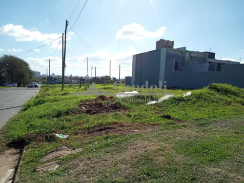 Lote En Venta Barrio San Carlos