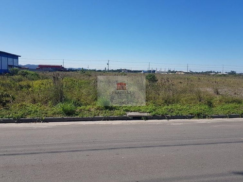 Imagem 9 de 9 de Área Industrial No Volta Redonda Com 0 Quartos Para Locação, 4158 M² - Ft1398