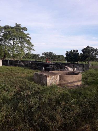 Imagen 6 de 13 de Villahermosa-macuspana X Hotel Hilton,venta Rancho 667 Mt