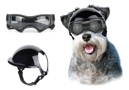 Casco Y Gafas De Sol Para Perro Pequeño Y Mediano