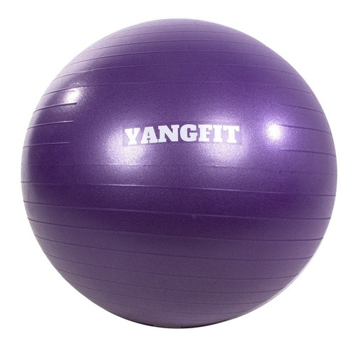 Bola Pilates Suíça Exercícios Yoga 65cm Com Bomba De Inflar Yangfit Roxo