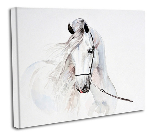 Cuadro Lienzo Canvas 80x120cm Caballo Blanco Tipo Acuarela