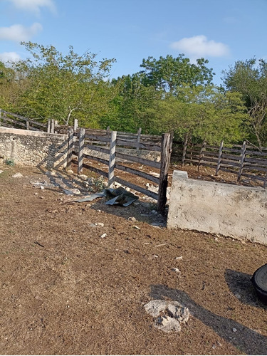 Rancho Cerca De Merida En Sucila Yucatan Cuenca Lechera Sobr