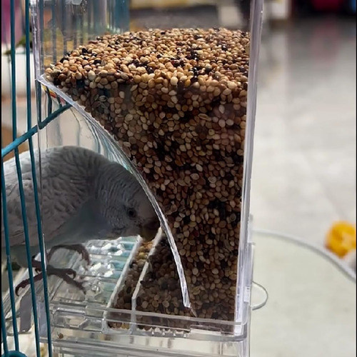 Comedero Automático Para Pájaros Para Jaula, Comedero Para P