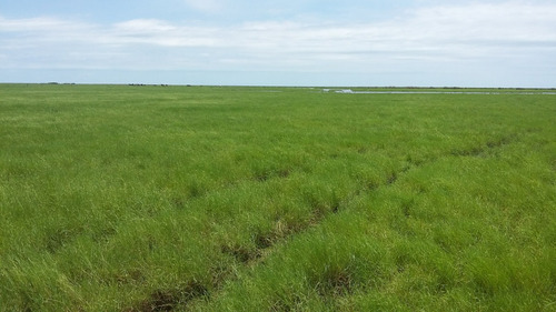 La Rinconada. 10.000 Ha. Con Pasto Y Lagunas