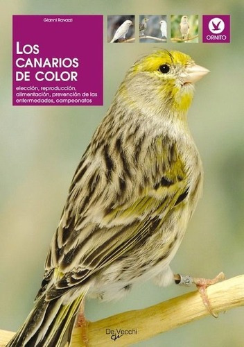 Los Canarios De Color - Gianni Ravazzi, de Gianni Ravazzi. Editorial Vecchi en español