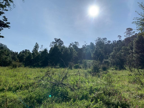 Imagen 7 de 9 de Terreno En Venta.