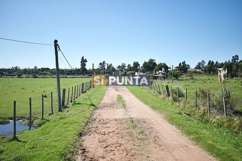 Imagen 5 de 19 de Chacra San Carlos Ruta 9