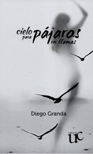Cielo Para Pajaros En Llamas, De Granda, Diego. Editorial Universidad Del Cauca, Tapa Blanda, Edición 1 En Español, 2015