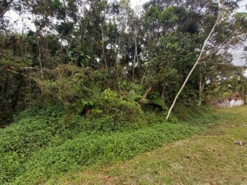 Imagem 3 de 5 de Lote Para Chácara No Balneário Gaivota Escriturado