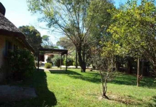 Imagen 12 de 13 de Divina Casa Recién Renovada, 3 D, 2 B, Gran Parque