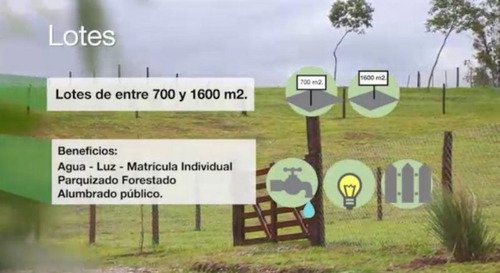 Imagen 6 de 6 de La Calderilla