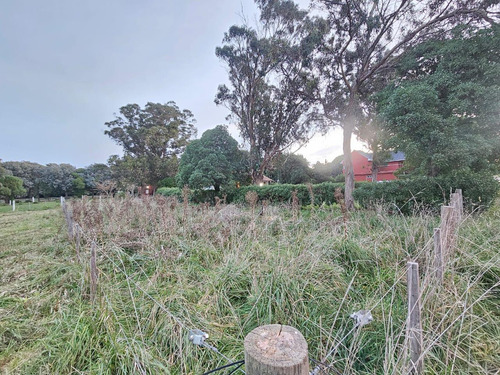 Terreno A La Venta En Playa Los Lobos