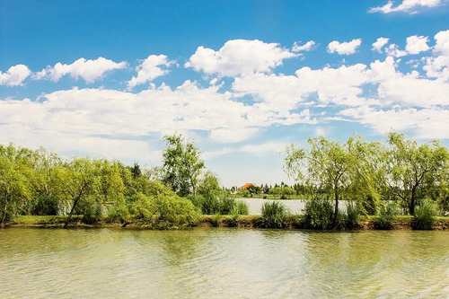 Lote De 2500 M2 En Venta En Fincas Golf, Fincas De San Vicente.