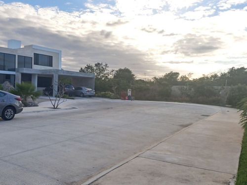 Imagen 6 de 30 de Terreno En Venta En Nortemerida