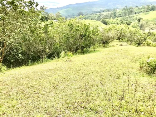 Bitaco, 19.200 M2, Lote En Venta