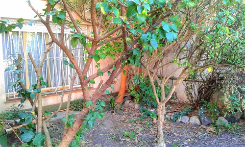 Imagen 4 de 14 de Casa De 3 Ambientes Sobre Lote Propio // Achaval 213