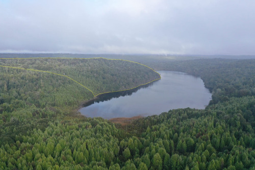 Propiedad 66.27 Has Con Orilla De Laguna Queilen, Chiloé