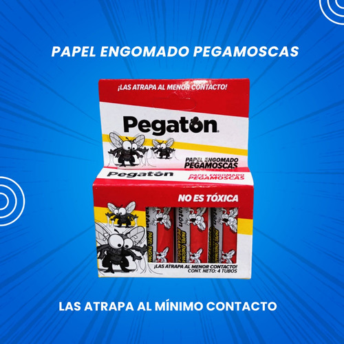 Atrapamoscas Sin Veneno Para Moscas Atrapamoscas 5 Piezas