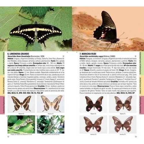 Núñez Bustos: Mariposas Ciudad De Buenos Aires Y Alrededores
