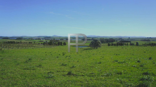 Imagen 5 de 6 de Campo En Venta Laguna Del Sauce 5 Hectáreas