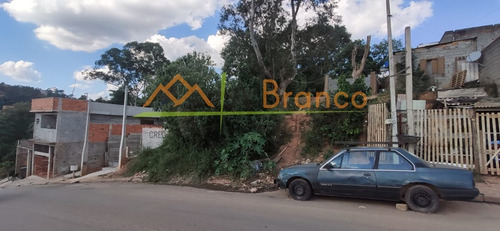 Imagem 1 de 4 de Terreno - Te00026 - 69385679