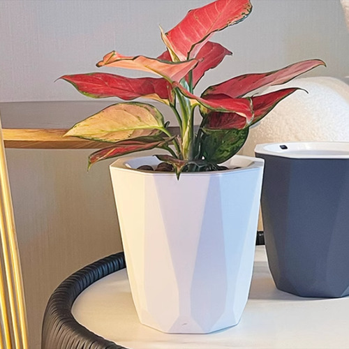 Maceta Autorriego, Decoración Moderna, Maceta Resistente L