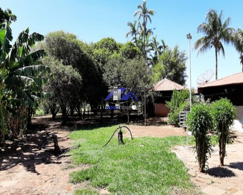 Imagem 5 de 20 de Sitio Com 4.8 Hectares, Em Uma Das Melhores Localizações De Araçatuba ! - St00011 - 70451109